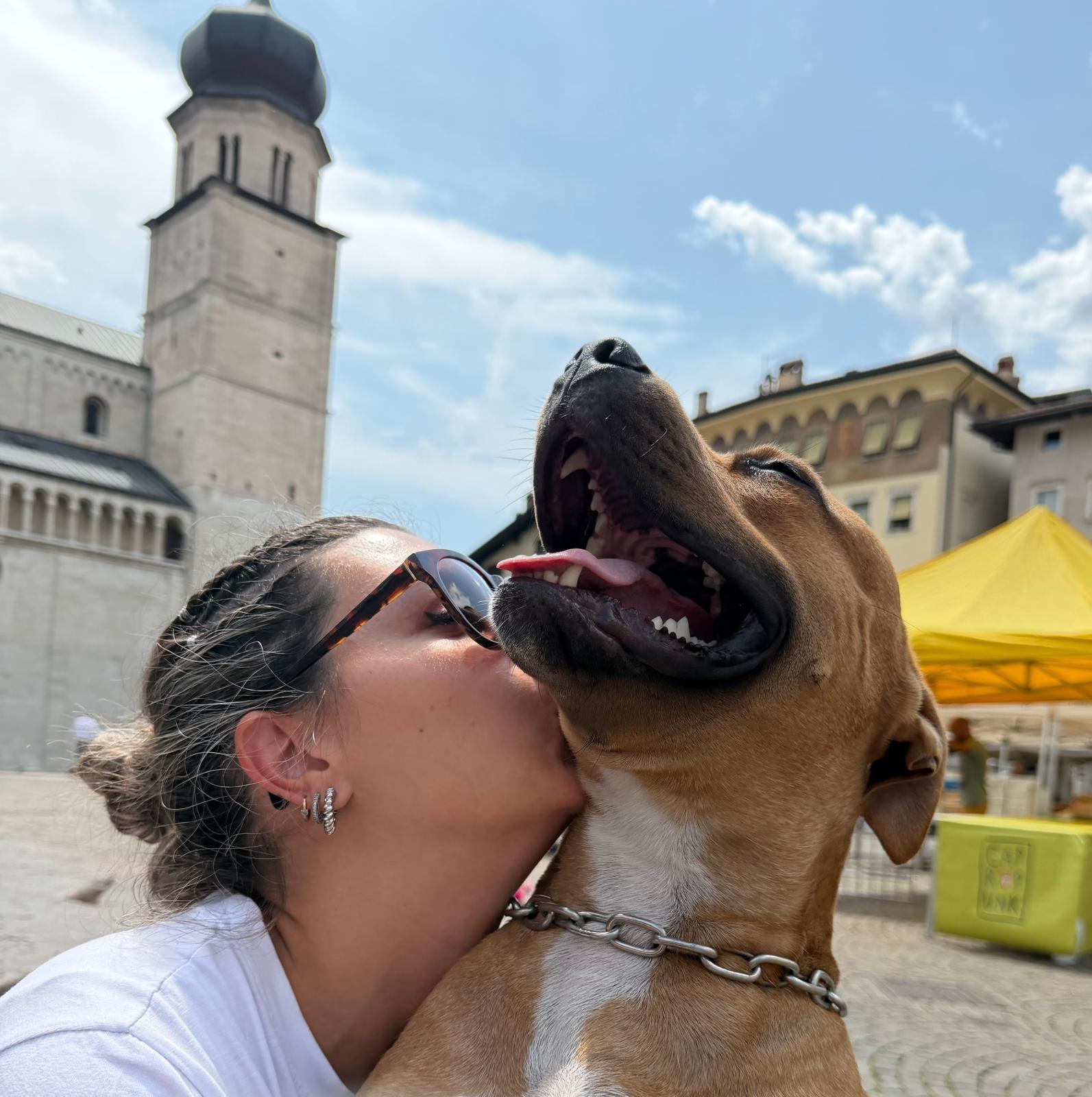 Cane seguito da Underdog Training