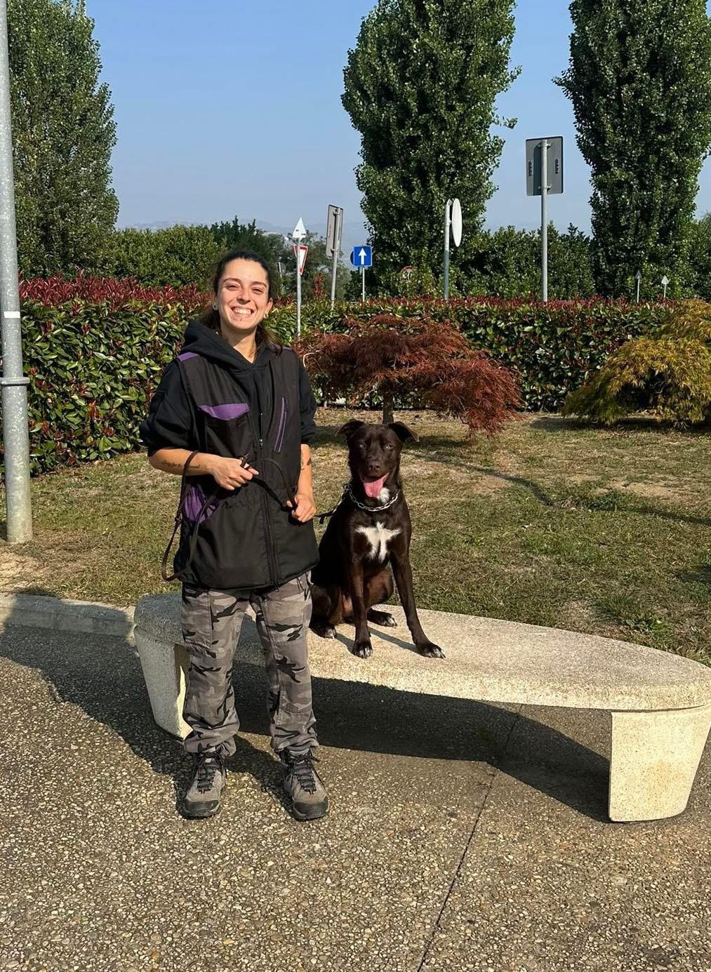 Cane seguito da Underdog Training