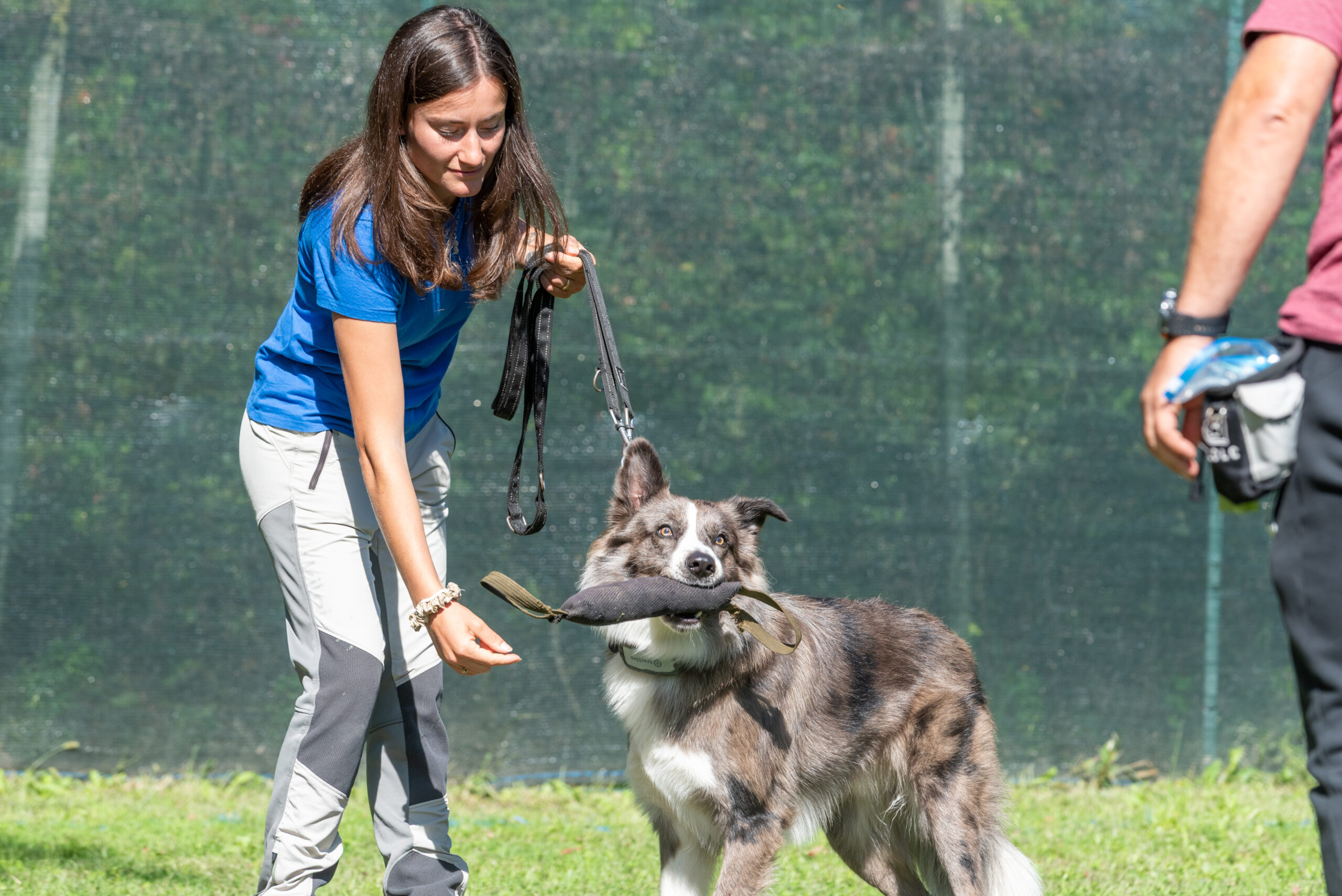 Risultati