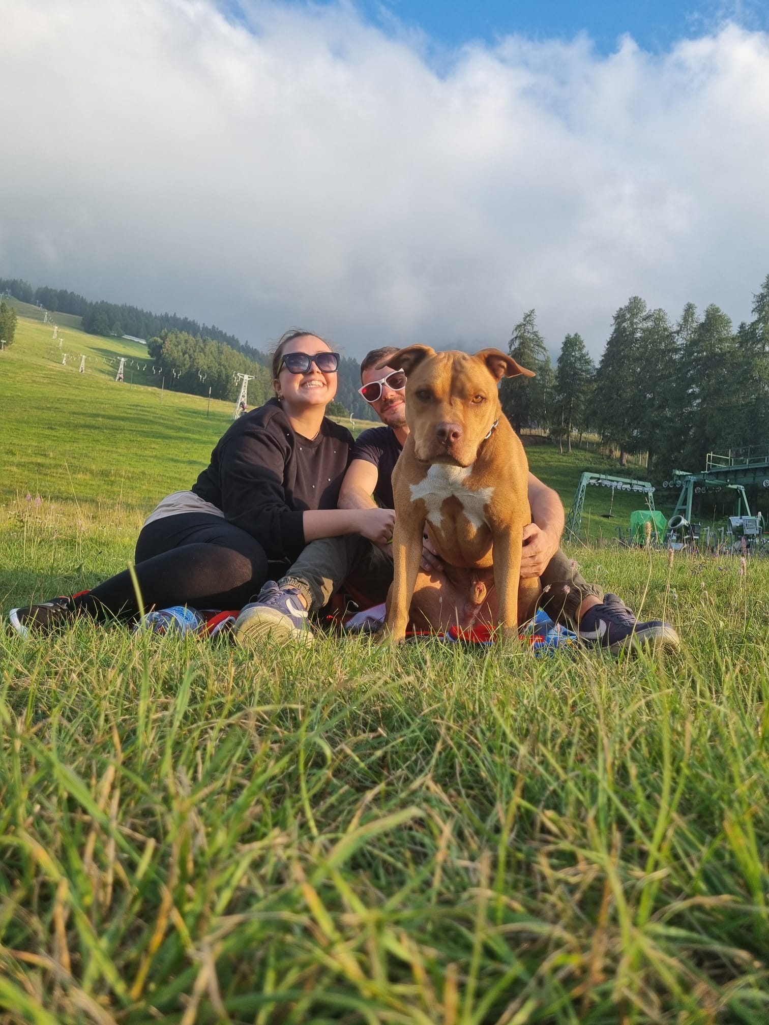 Cane seguito da Underdog Training