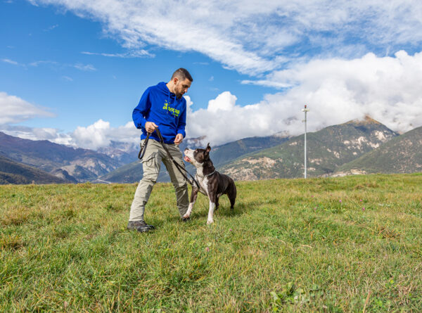 Nuovo sito Underdog training online!