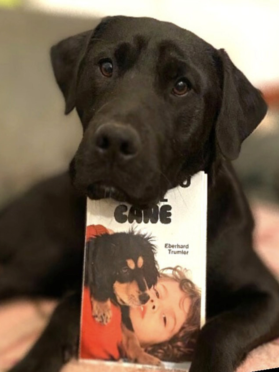 Underdog culture